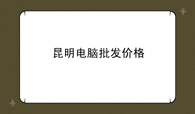 昆明电脑批发价格
