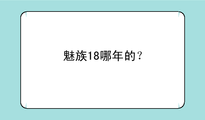 魅族18哪年的？