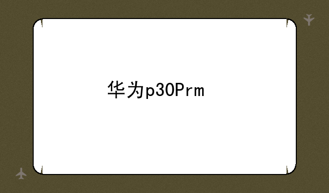 华为p30Pro手机参数？