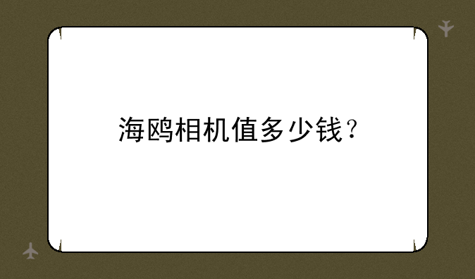 海鸥相机值多少钱？
