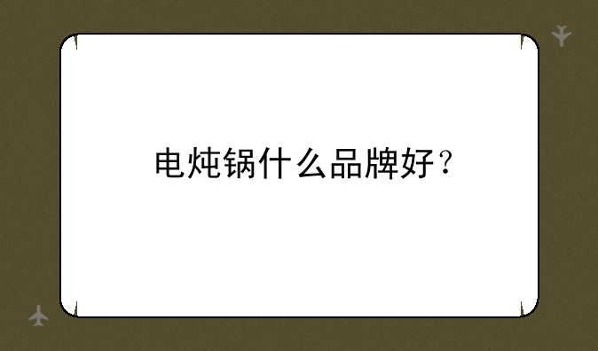 电炖锅什么品牌好？