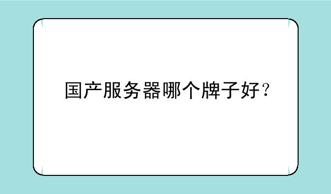 国产服务器哪个牌子好？