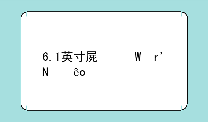 6.1英寸屏幕有哪些手机呢？