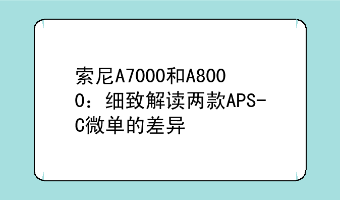 索尼A7000和A8000：细致解读两款APS-C微单的差异