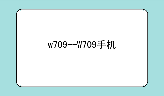 w709--W709手机