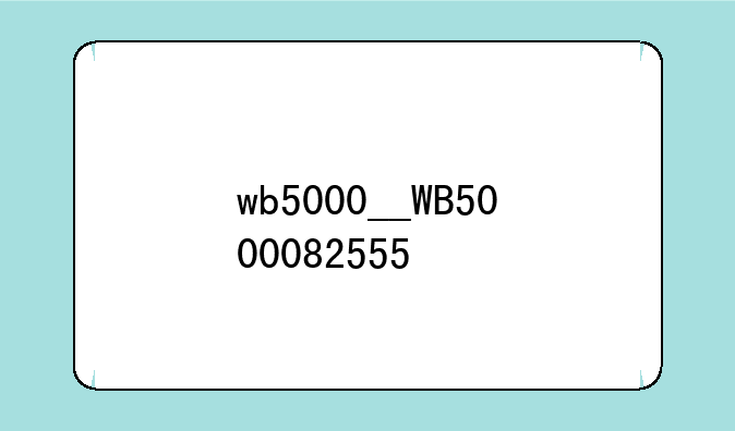 wb5000__WB5000082555