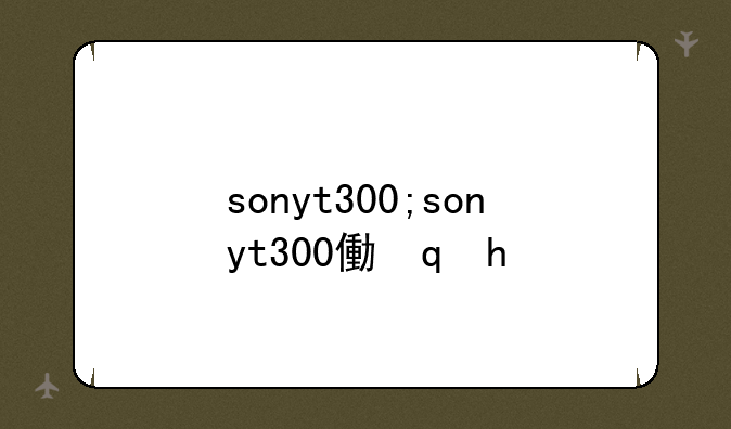 sonyt300;sonyt300像素