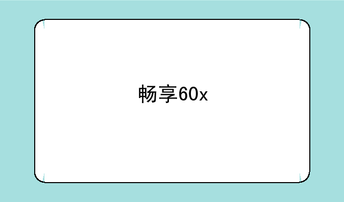 畅享60x