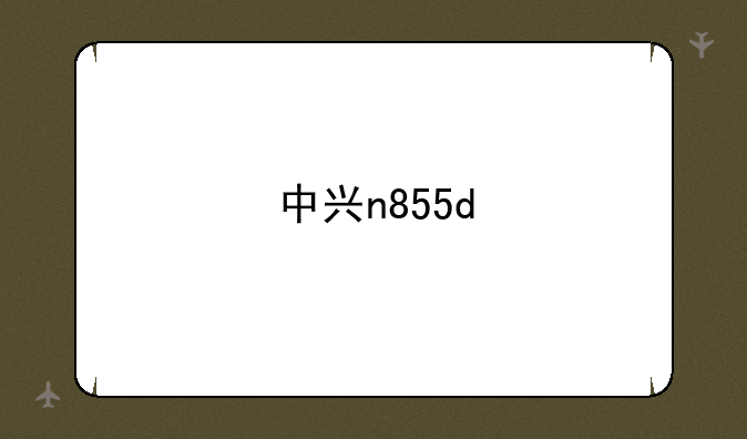 中兴n855d