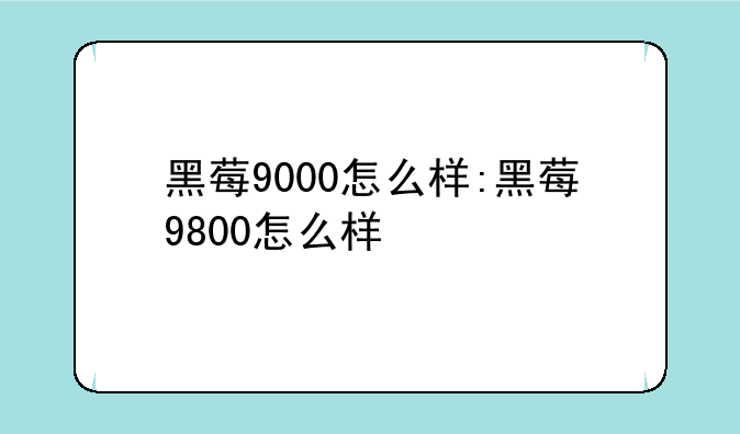 黑莓9000怎么样:黑莓9800怎么样