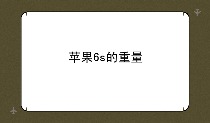 苹果6s的重量